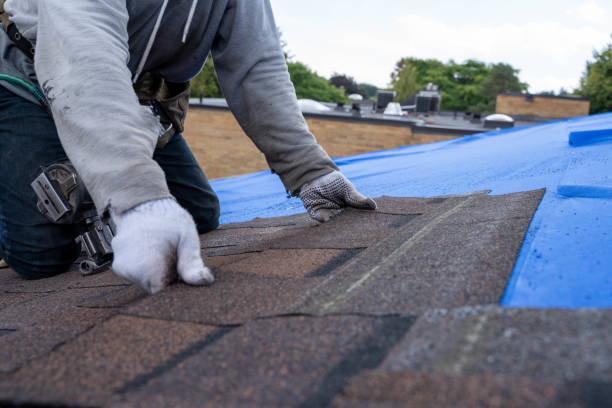 Best Residential Roofing Contractor  in Mahomet, IL