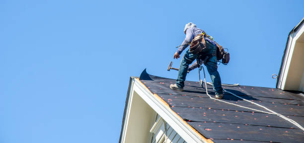 Best Roof Gutter Cleaning  in Mahomet, IL